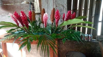 Arreglos Florales para toda ocasión — Xiloxochico, Cuetzalan